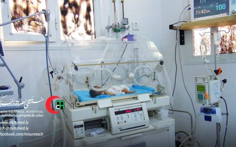 591 حالة ولادة في “سبتمبر” 47% منهم ذكور