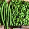 الفول الأخضر لن تتوقع فوائده